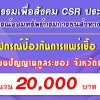 csr-final